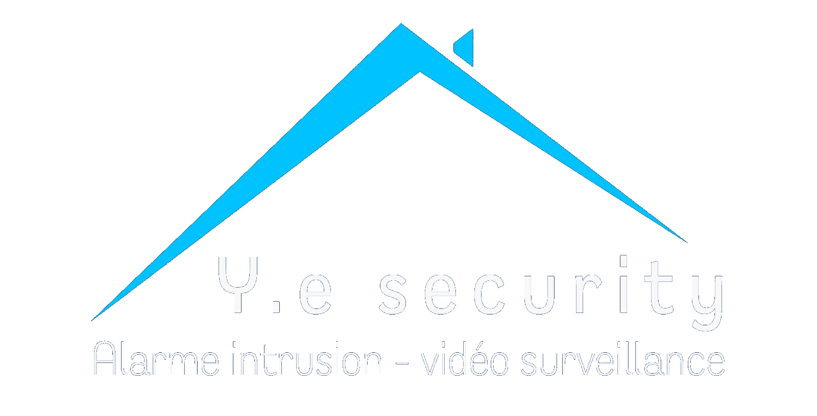 Y.E SECURITY